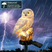 🦉Brighten your garden path today Solar Owl Pathway Light