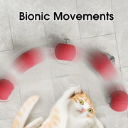 Interactive Rolling Cat Toy Ball – Smart Motion-Activated Toy with Chirping Sounds