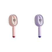 🔥Electric Spray Air Cushion Massage Comb