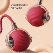 Interactive Rolling Cat Toy Ball – Smart Motion-Activated Toy with Chirping Sounds