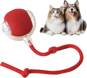 Interactive Rolling Cat Toy Ball – Smart Motion-Activated Toy with Chirping Sounds