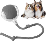 Interactive Rolling Cat Toy Ball – Smart Motion-Activated Toy with Chirping Sounds