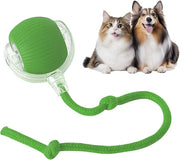 Interactive Rolling Cat Toy Ball – Smart Motion-Activated Toy with Chirping Sounds