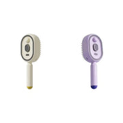 🔥Electric Spray Air Cushion Massage Comb