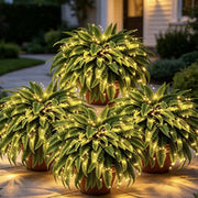 💛Glowing Boston Ferns with Lights – 🌿 Zero Watering. Zero Maintenance