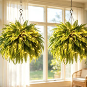 💛Glowing Boston Ferns with Lights – 🌿 Zero Watering. Zero Maintenance