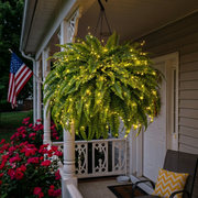 💛Glowing Boston Ferns with Lights – 🌿 Zero Watering. Zero Maintenance