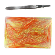 1pcs Stress Relief Sensory Toy with Tweezers, Stress Relief Gadgets, Anxiety Relief for Adults, Skin Scratching Habit, Adhd, Silicone Pickle Padtoy, Anxiety Relief Products