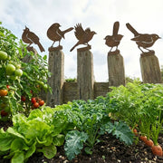 🐦 5-Piece Lifelike Rusty Metal Bird Silhouettes Garden Art